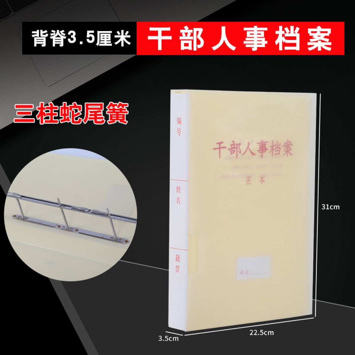 晟泰邦 新标准A4干部人事档案盒廉政档案盒干部档案职工党员党建档案夹 干部人事档案3.5厘米(蛇簧夹）单位：个