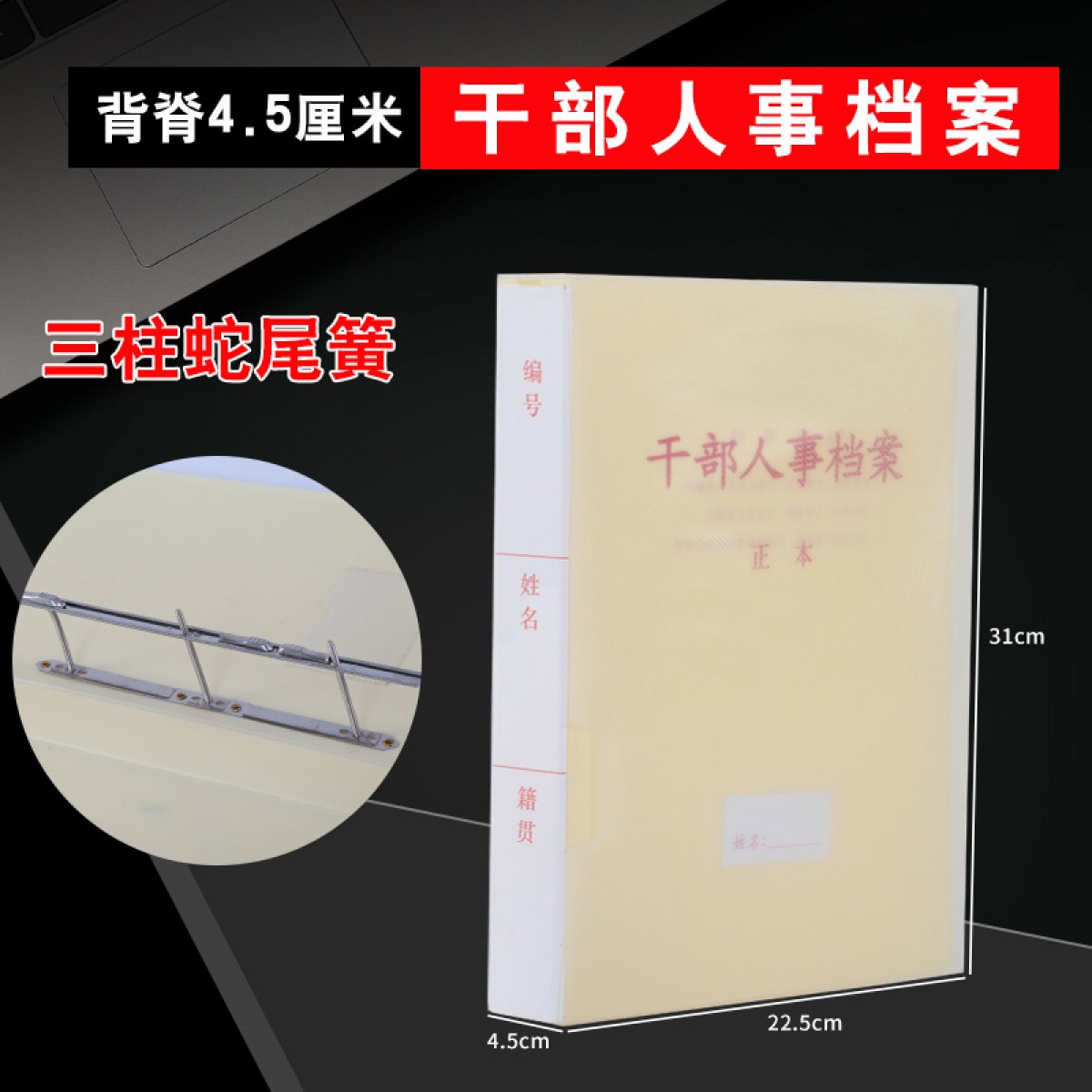 晟泰邦 新标准A4干部人事档案盒廉政档案盒干部档案职工党员党建档案夹 干部人事档案4.5厘米(蛇簧夹）单位：个