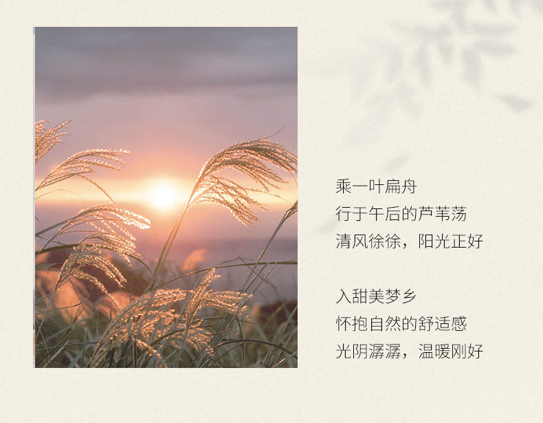 d5986002f1592c11.jpg