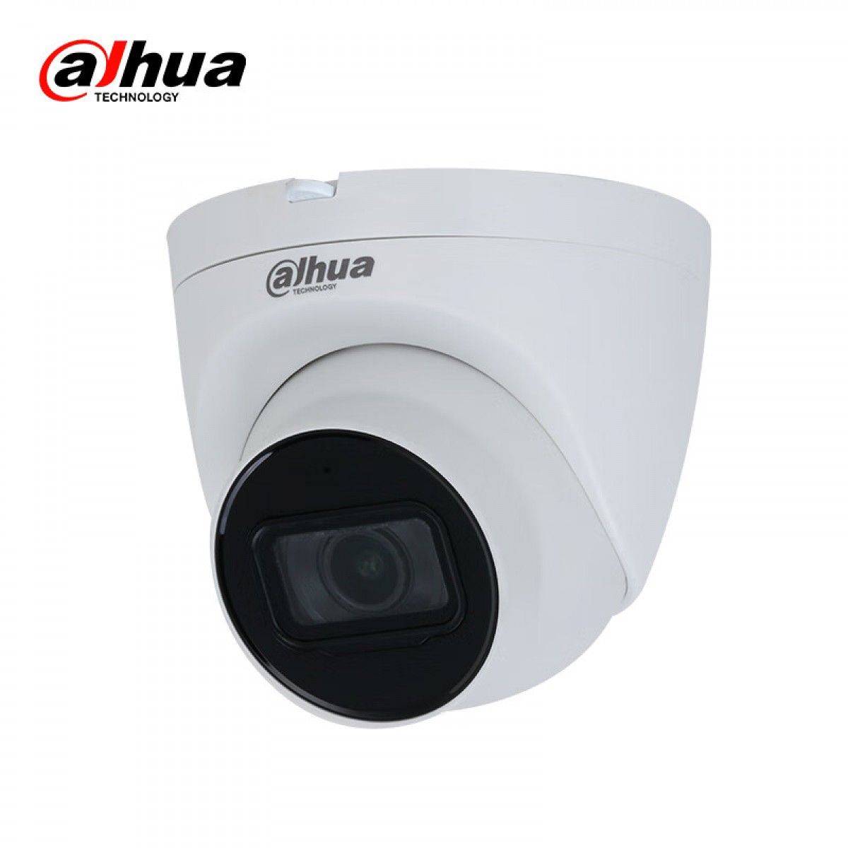 大华（dahua） 800万星光智能红外定焦海螺网络摄像机 区域入侵 DH-IPC-HDW4843T-A-3.6mm 单位：个