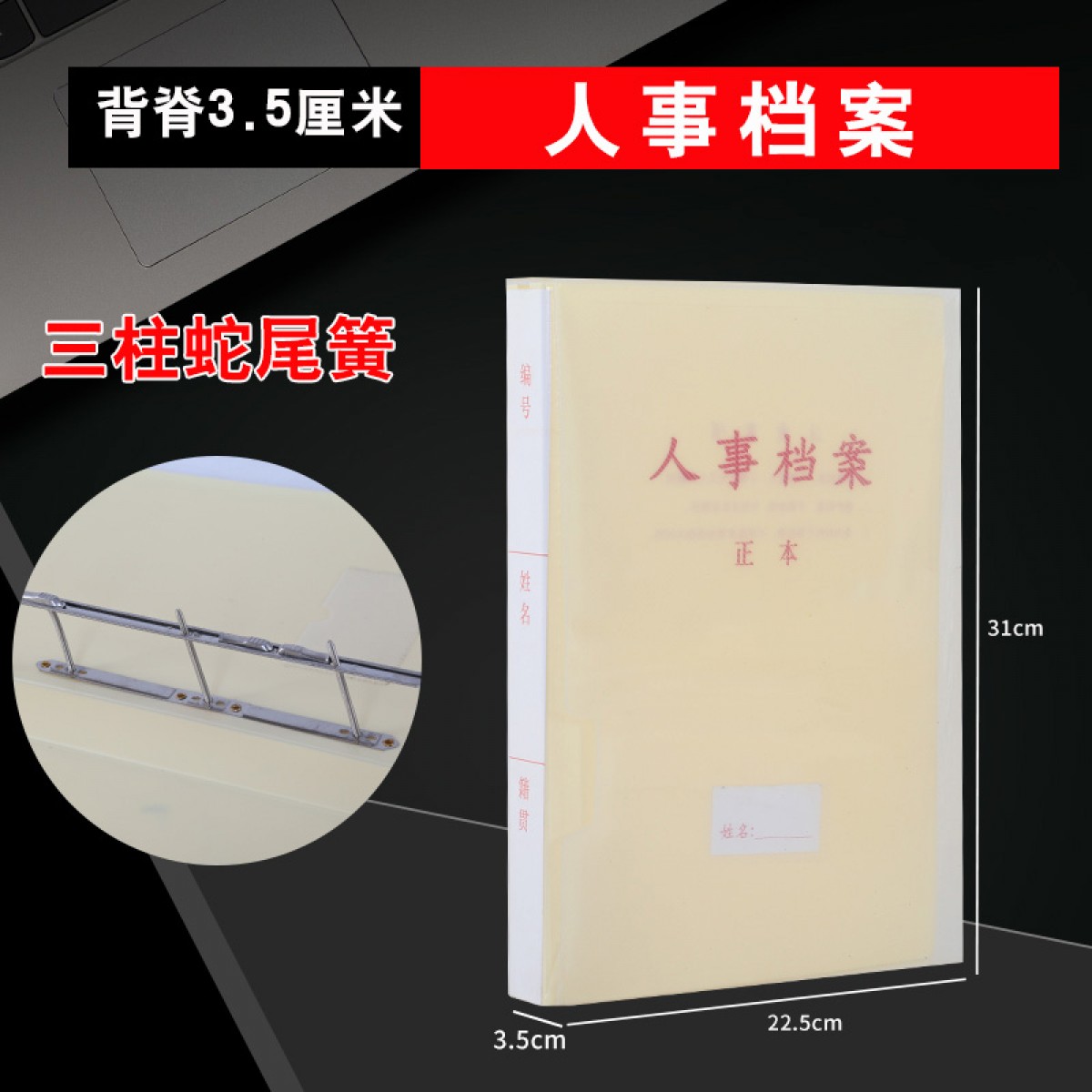 晟泰邦 新标准A4干部人事档案盒廉政档案盒干部档案职工党员党建档案夹 人事档案3.5厘米(蛇簧夹）单位：个