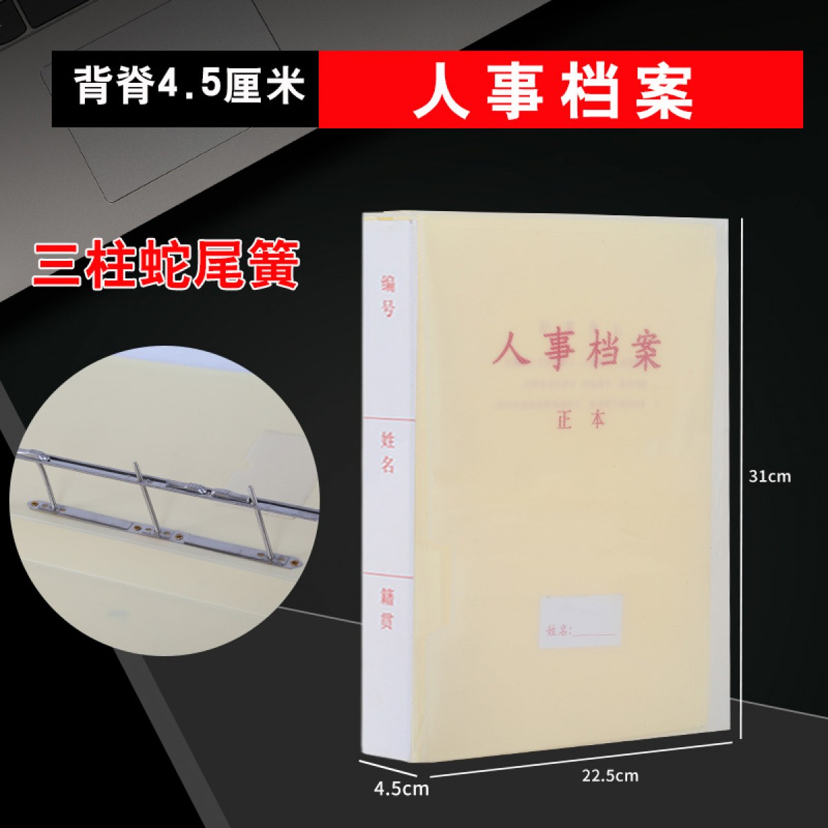 晟泰邦 新标准A4干部人事档案盒廉政档案盒干部档案职工党员党建档案夹 人事档案4.5厘米(蛇簧夹）单位：个