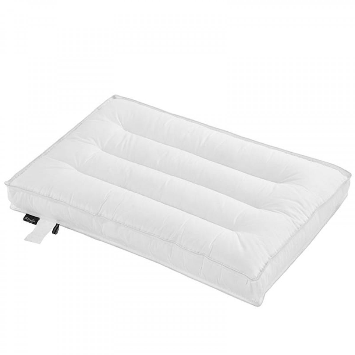 伊伊爱 ZX-9QM-001全棉优雅荞麦枕单人枕芯白色68*42*12cm（单位：个）