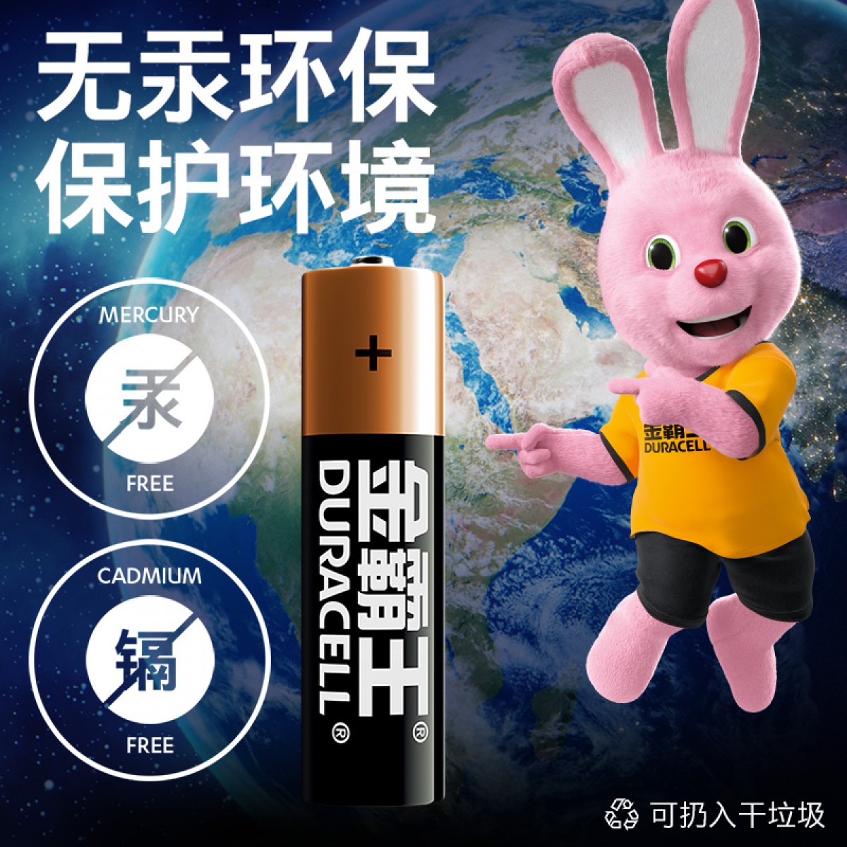 金霸王(Duracell) 5号碱性电池2粒装 适用于儿童玩具/鼠标/电子门锁/血糖仪/体重称等