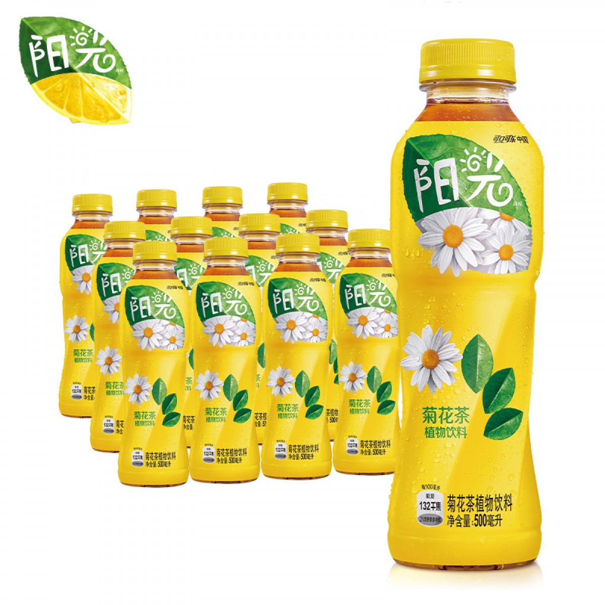 可口可乐 Coca-Cola 阳光菊花 茶饮料 500ml*12瓶 整箱装 可口可乐出品 新老包装随机发货 单位：箱