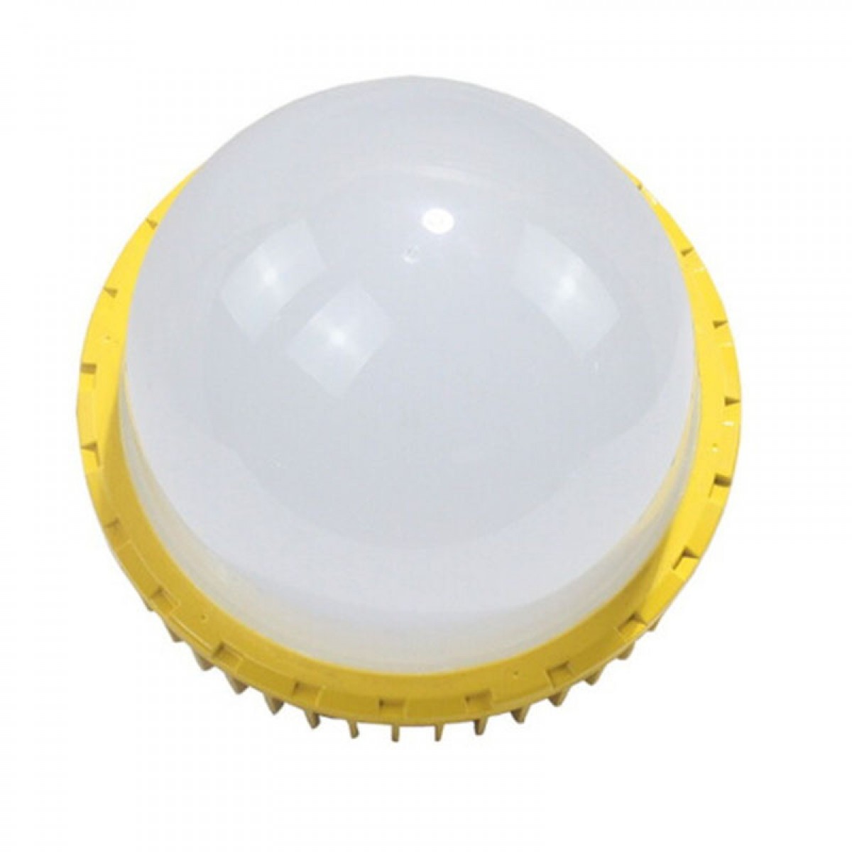 劲荣（JINRONG）劲荣大地照明（JINRONG）DD8800-I 100W LED防爆灯