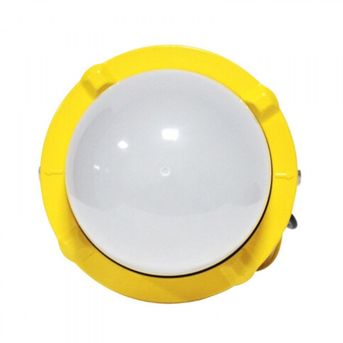 劲荣（JINRONG）劲荣大地照明（JINRONG）DD8800-I 50W LED防爆灯